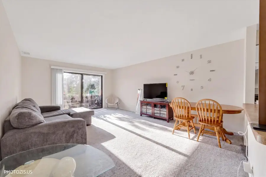 4000 Bayside Drive #207, Palatine, IL 60074 - #2