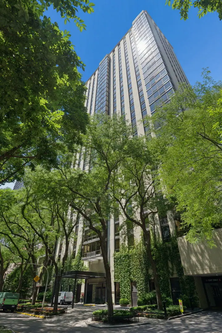 100 E Bellevue Place #24A, Chicago, IL 60611 - #1