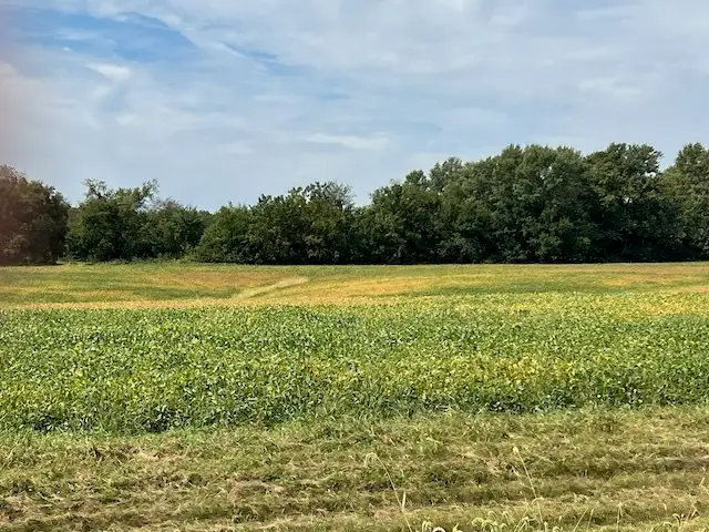 00 Wells Ferry Road, Pleasant Valley, IA 52767 - #1