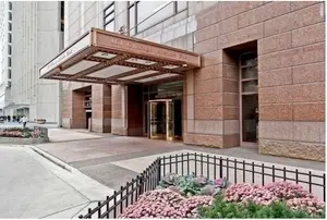 161 E Chicago Avenue #24-02, Chicago, IL 60611 - #1
