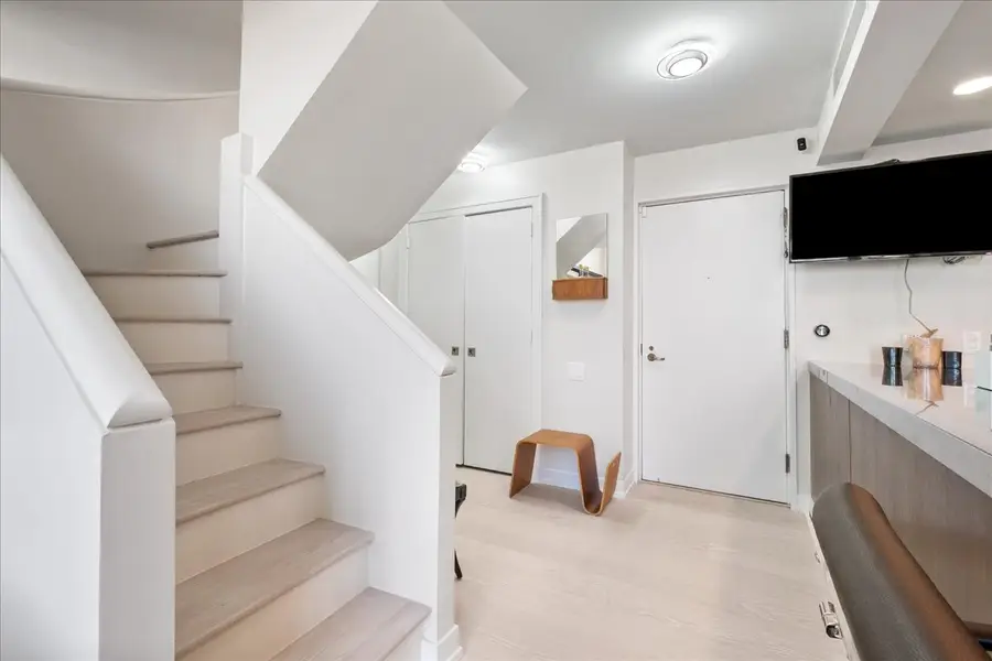 161 E Chicago Avenue #24-02, Chicago, IL 60611 - #3