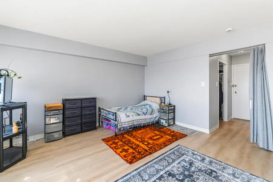 7337 S South Shore Drive #211, Chicago, IL 60649 - #3