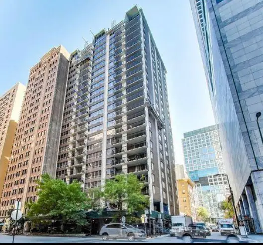 201 E Chestnut Street #14A, Chicago, IL 60611 - #1