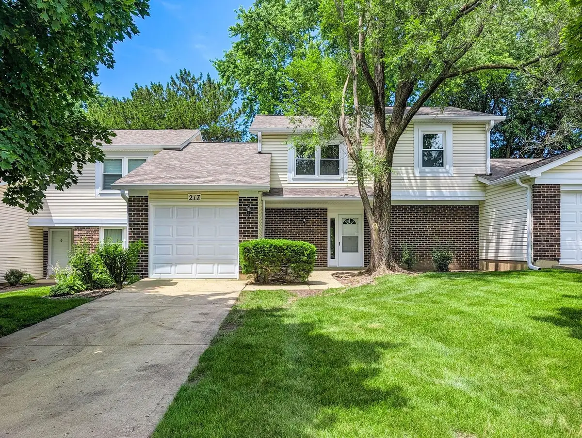 217 Tamarack Drive, Bloomingdale, IL 60108 - #1