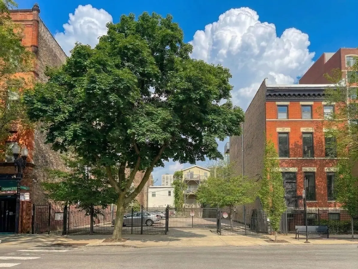 1457-59 N Sedgwick Avenue, Chicago, IL 60610 - #1
