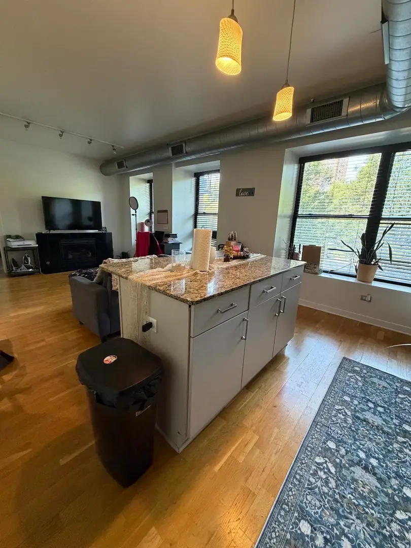 4537 S Drexel Boulevard #203, Chicago, IL 60653 - #3