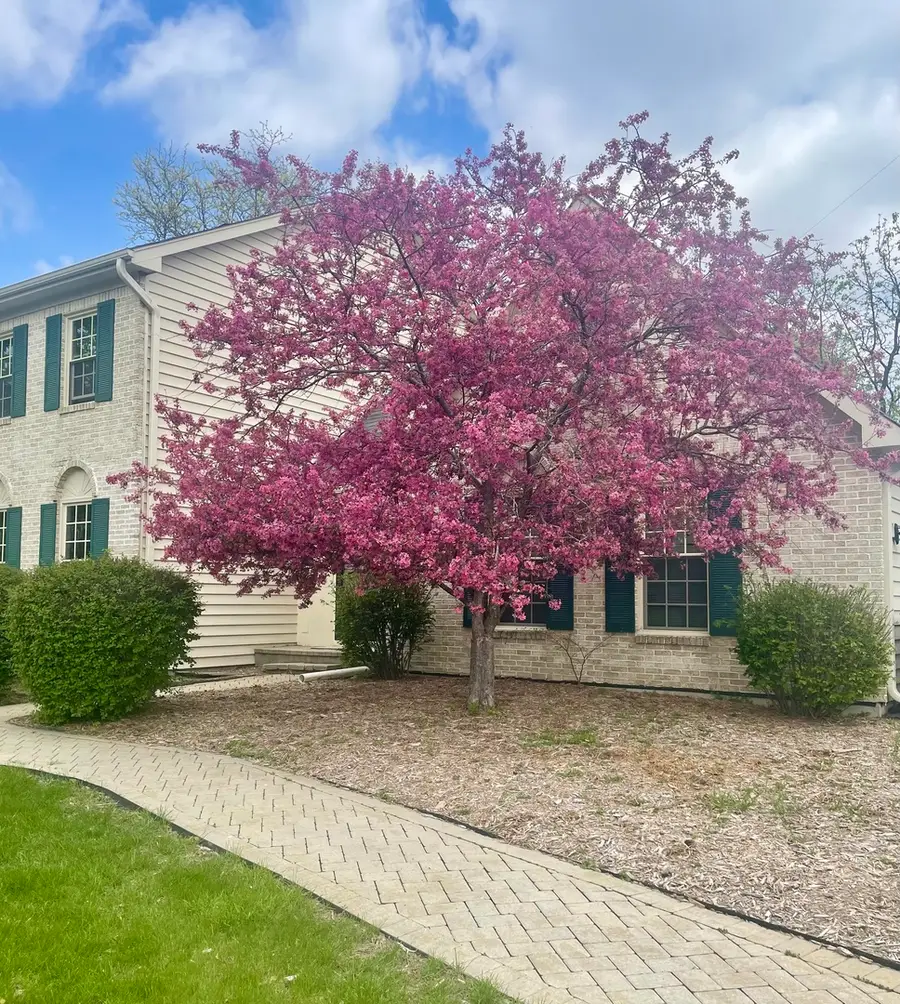 8S765 Singletree Lane, Naperville, IL 60565 - #3