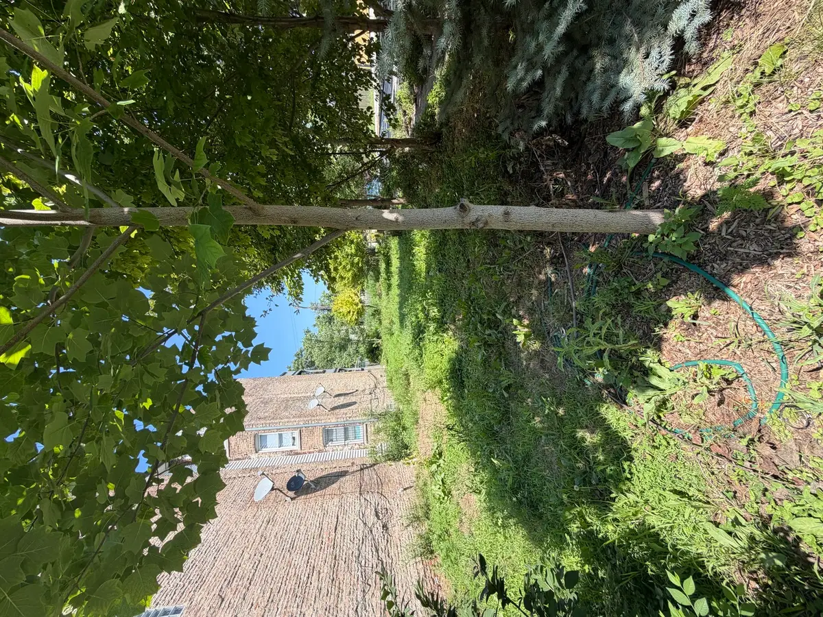 1449 S Spaulding Avenue, Chicago, IL 60623 - #1