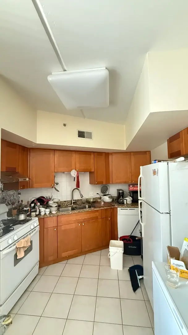 2322 S Canal Street #309, Chicago, IL 60616 - #3