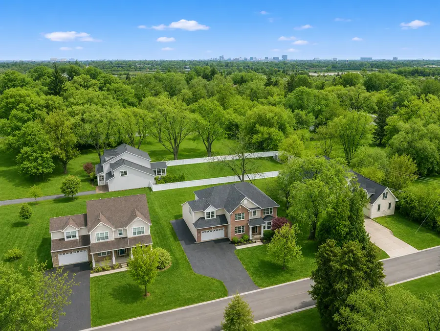 1551 E Olive Street, Palatine, IL 60074 - #2