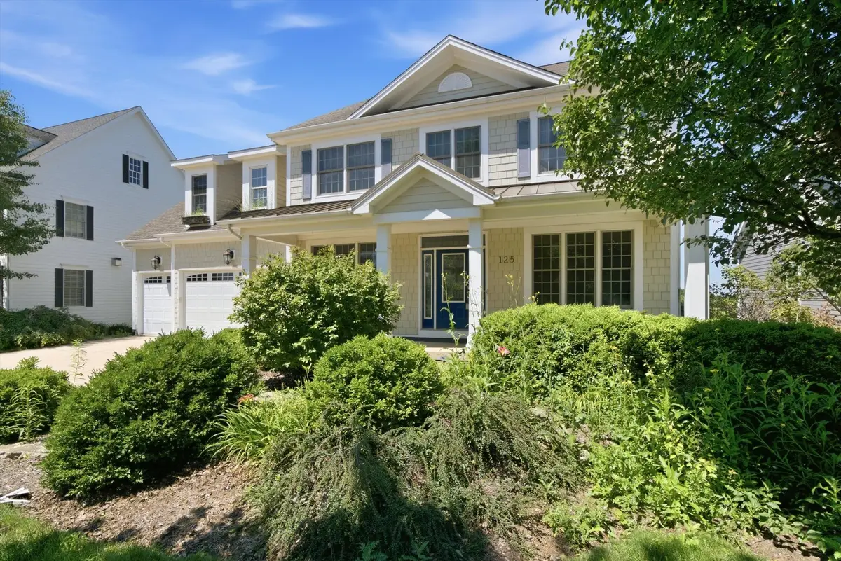 125 Goldenrod Drive, Sugar Grove, IL 60554 - #1