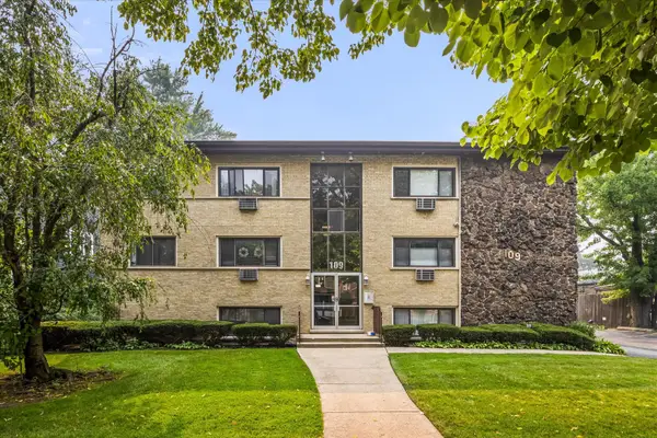 109 S Elmwood Avenue #2, Oak Park, IL 60302