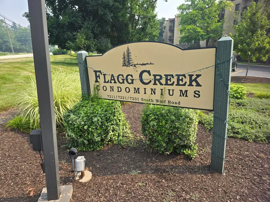 7221 Wolf Road #308b, Indian Head Park, IL 60525 - #2