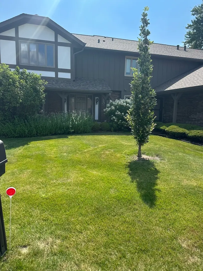13985 Millbank Drive, Orland Park, IL 60462 - #1