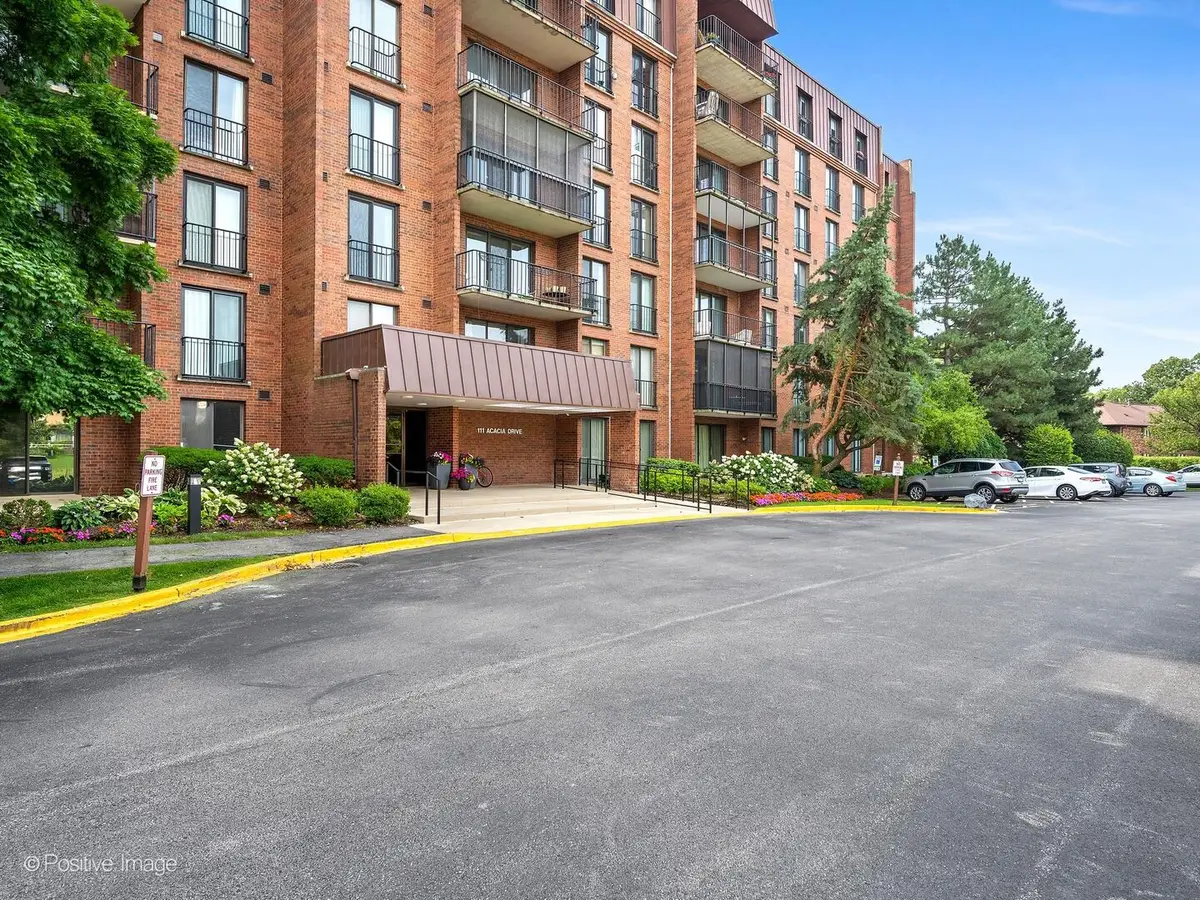 111 Acacia Drive #607, Indian Head Park, IL 60525 - #1