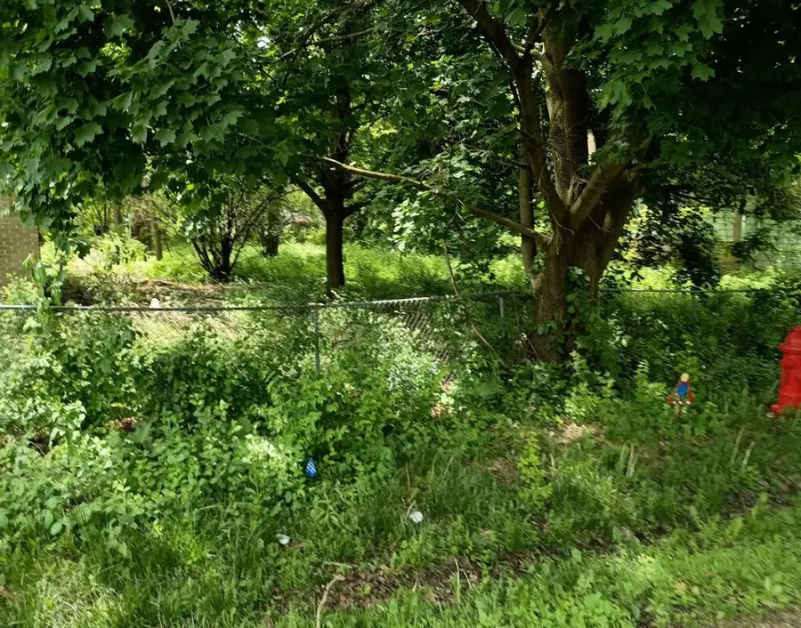 220 Nobes Avenue, Lockport, IL 60441 - #2