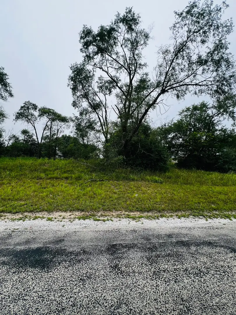 4706 13000 Road, Pembroke, IL 60958 - #1