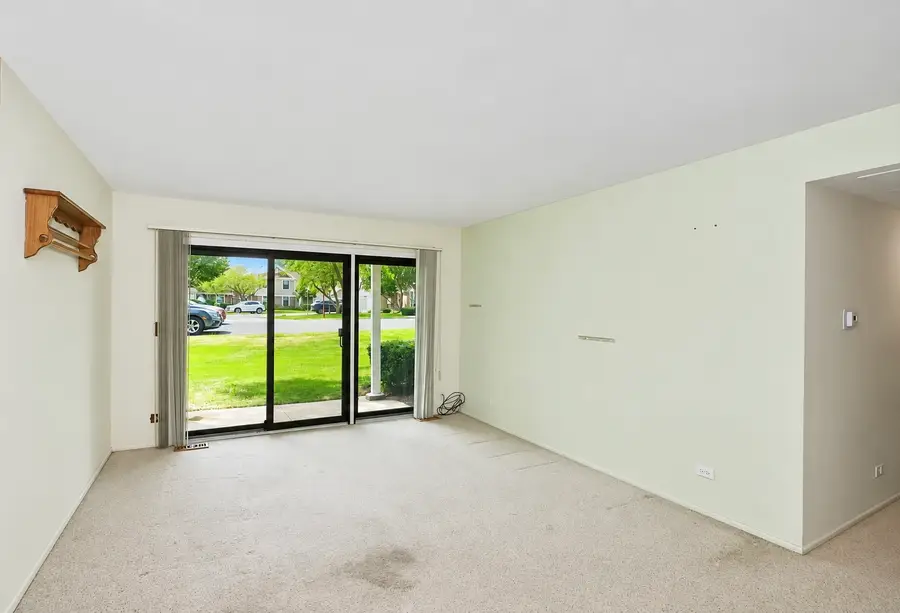 234 Deerpath Court #D1, Schaumburg, IL 60193 - #3