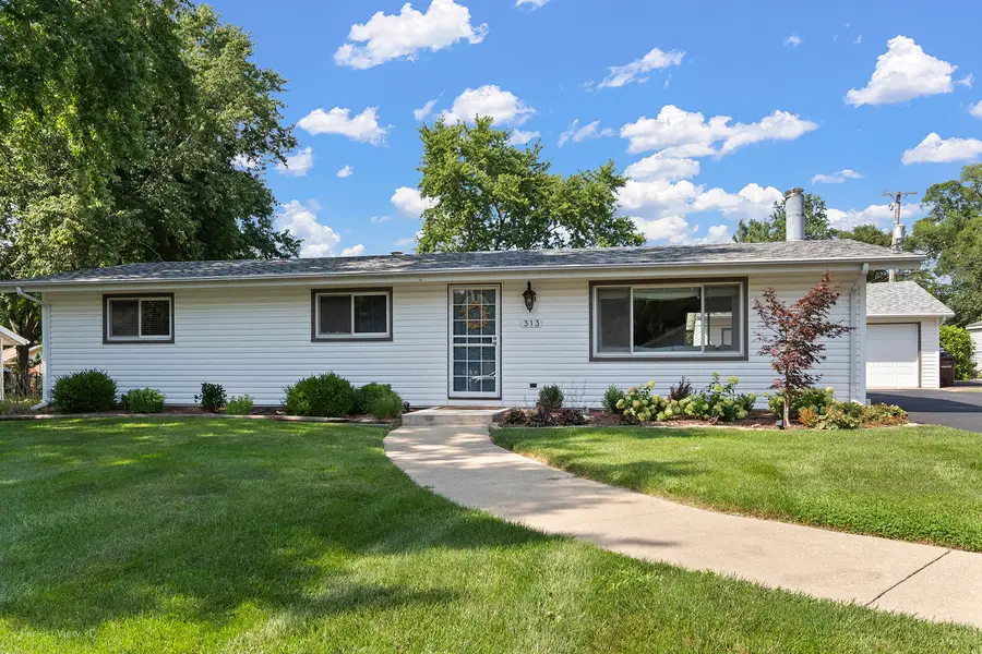 313 W Woodlawn Road, New Lenox, IL 60451 - #3
