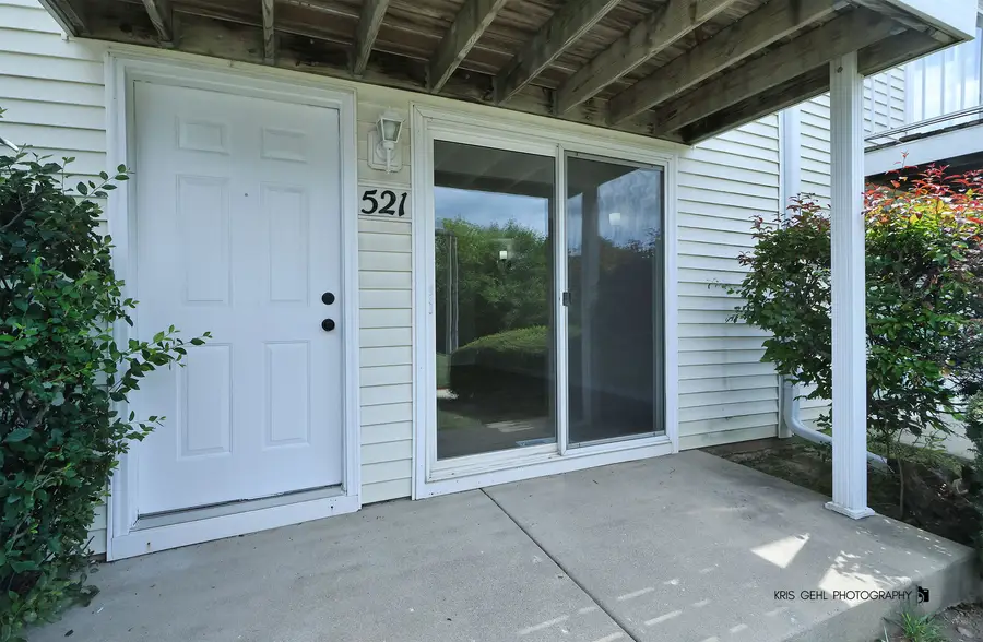 521 Meadow Green Lane #521, Round Lake Beach, IL 60073 - #2