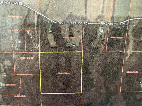 000 Thacker Hollow Road, Junction, IL 62954
