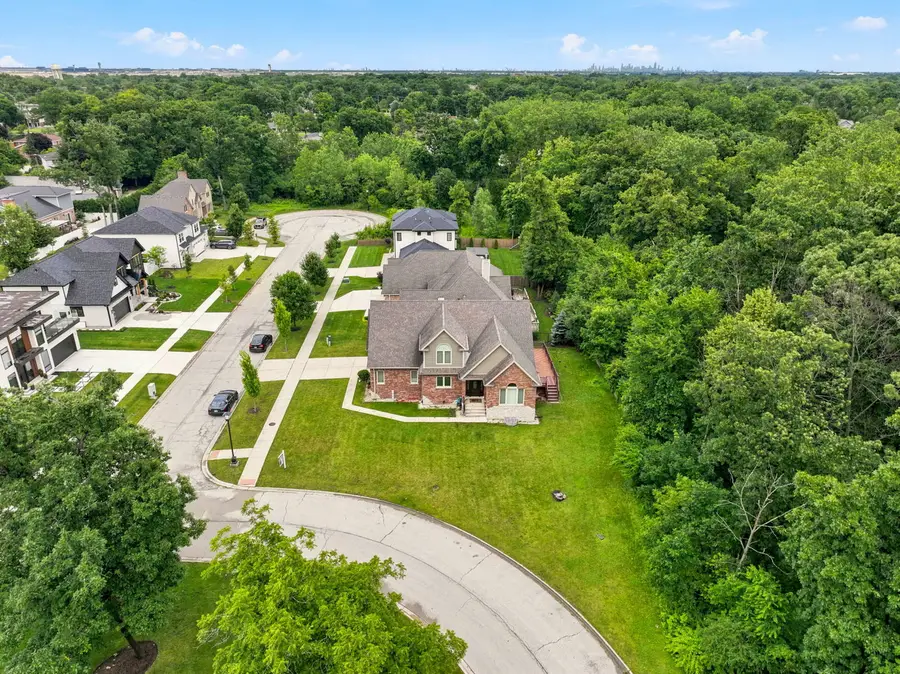 388 Preserve Lane, Wood Dale, IL 60191 - #3