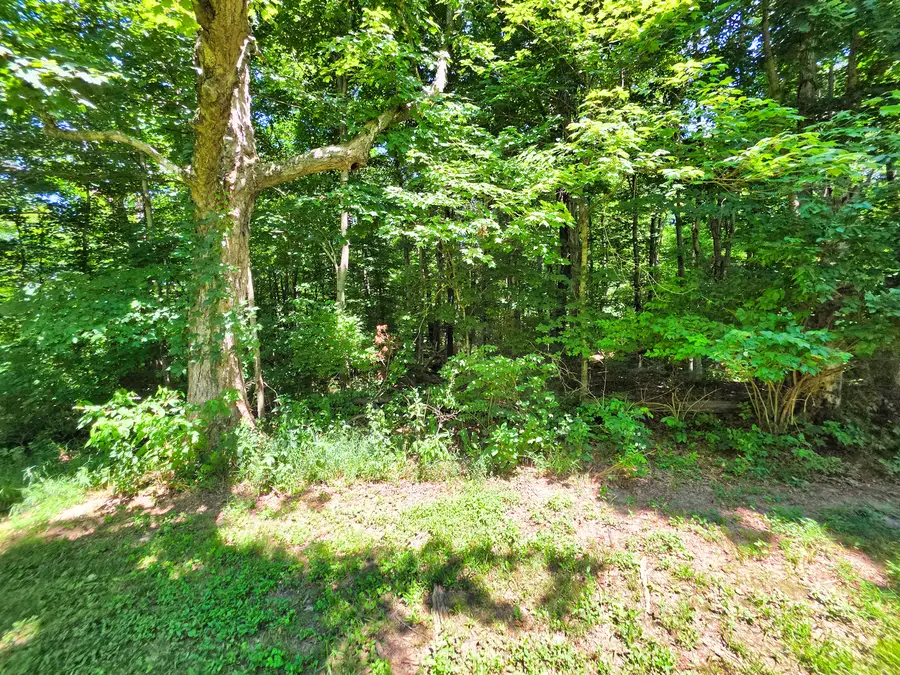 000 S Stanford Road, Flora, IL 62839 - #3
