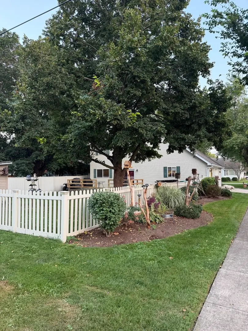 341 W Wood Drive, Peotone, IL 60468 - #3
