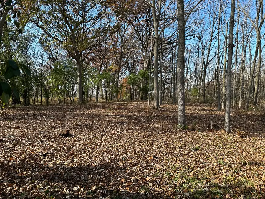 14942 W Concord Court, Wadsworth, IL 60083 - #2