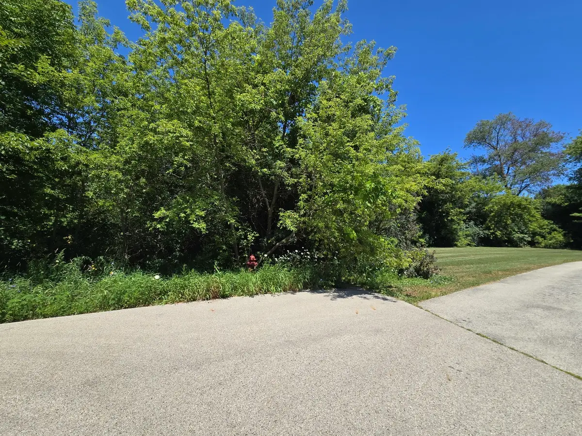 0 Greenview Avenue, Park City, IL 60085 - #1