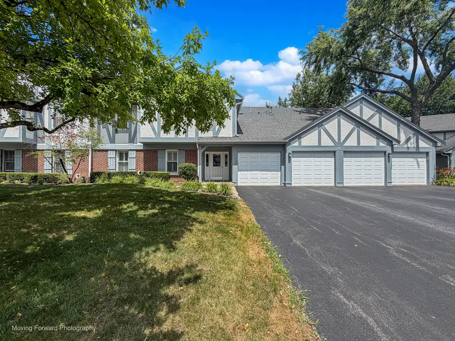 16 W Fern Court #204, Palatine, IL 60067 - #3
