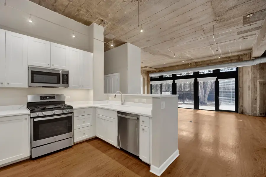 1071 W 15th Street #109, Chicago, IL 60608 - #3