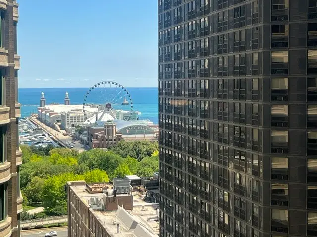 400 E Ohio Street #2003, Chicago, IL 60611 - #3