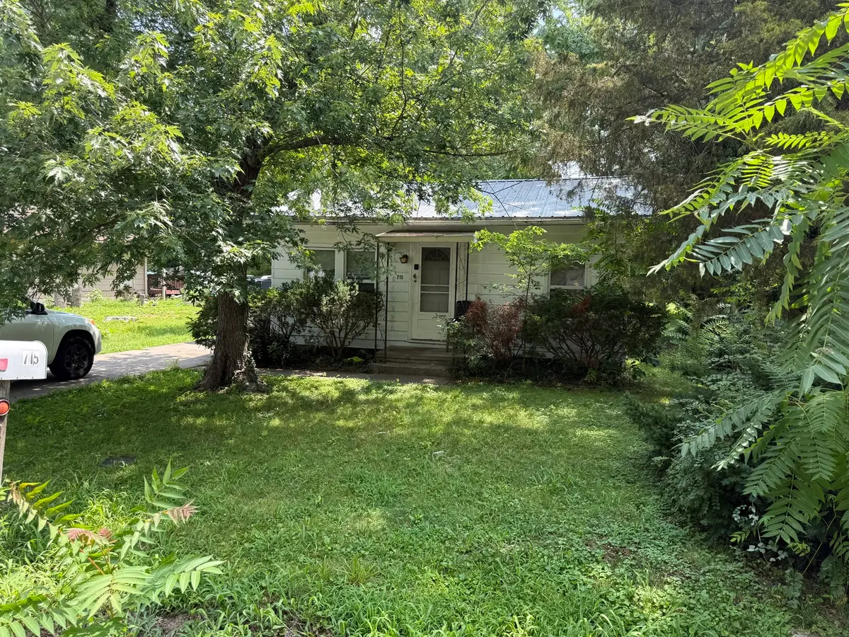 715 N James Street, Carbondale, IL 62901 - #1