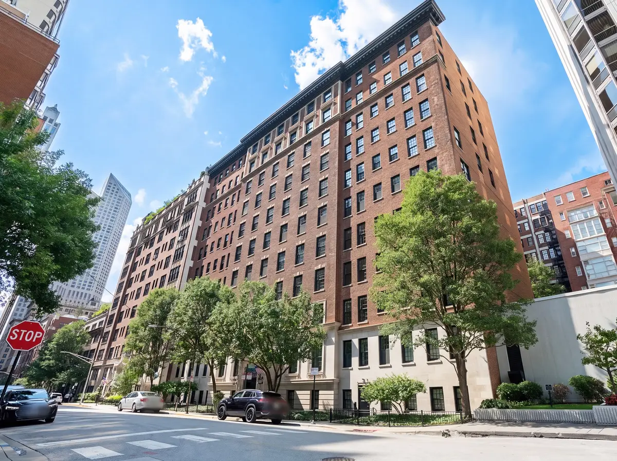 232 E Walton Place #3E, Chicago, IL 60611 - #1