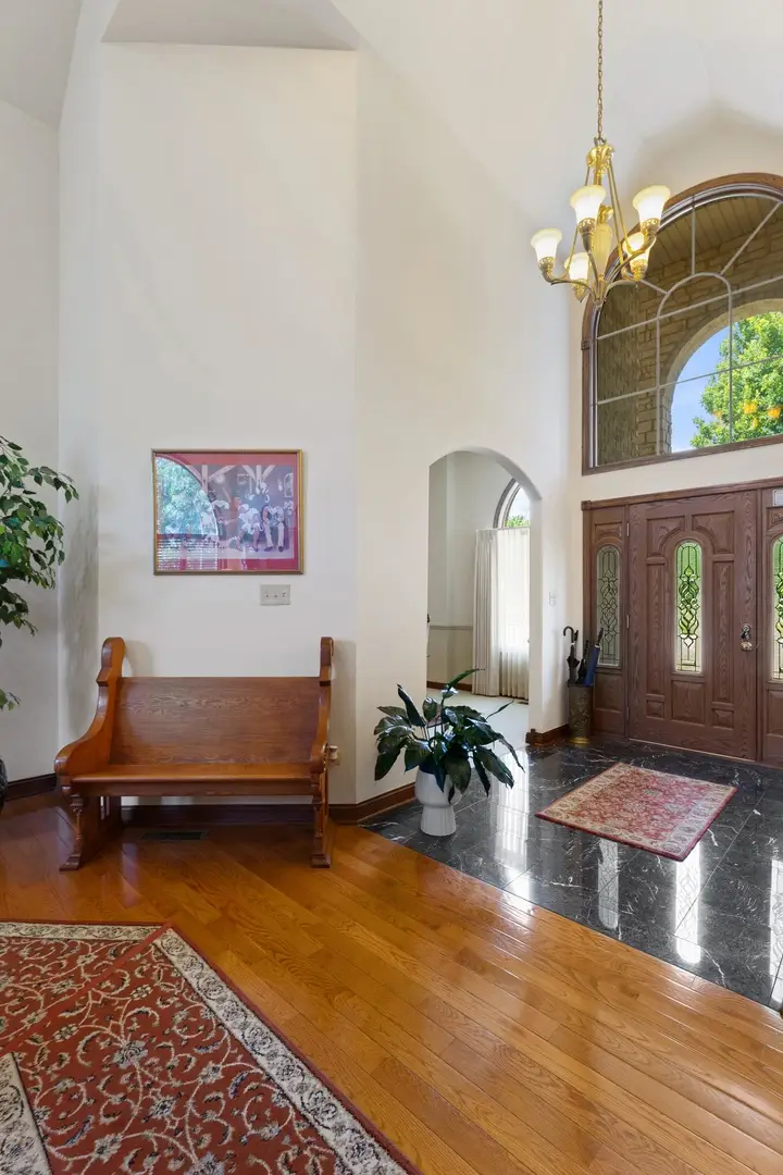 20029 Aegina Drive, Olympia Fields, IL 60461 - #3