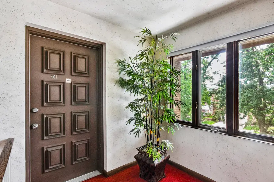 9619 Kedvale Avenue #301, Oak Lawn, IL 60453 - #2