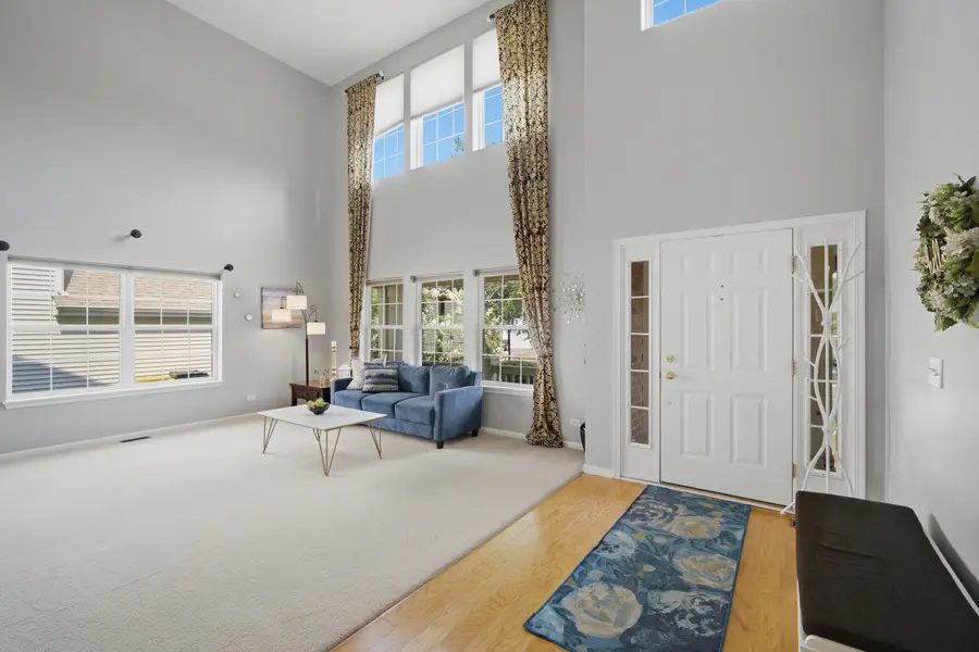1435 Baroque Avenue, Volo, IL 60073 - #2