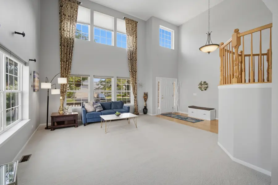 1435 Baroque Avenue, Volo, IL 60073 - #3