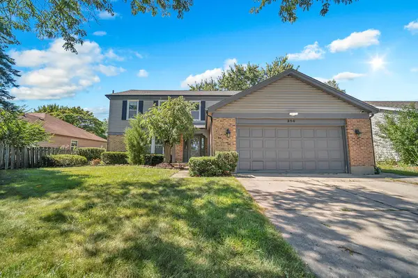 256 E Fox Hill Drive, Buffalo Grove, IL 60089