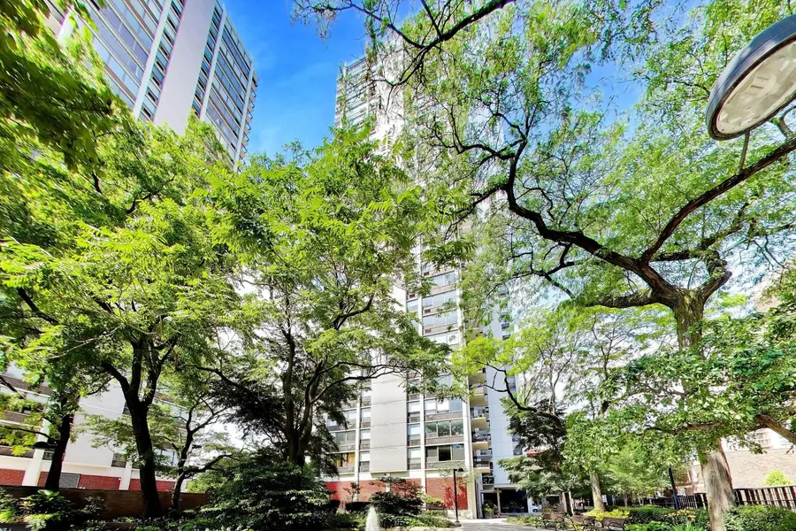 1460 N Sandburg Terrace #1412A, Chicago, IL 60610 - #2