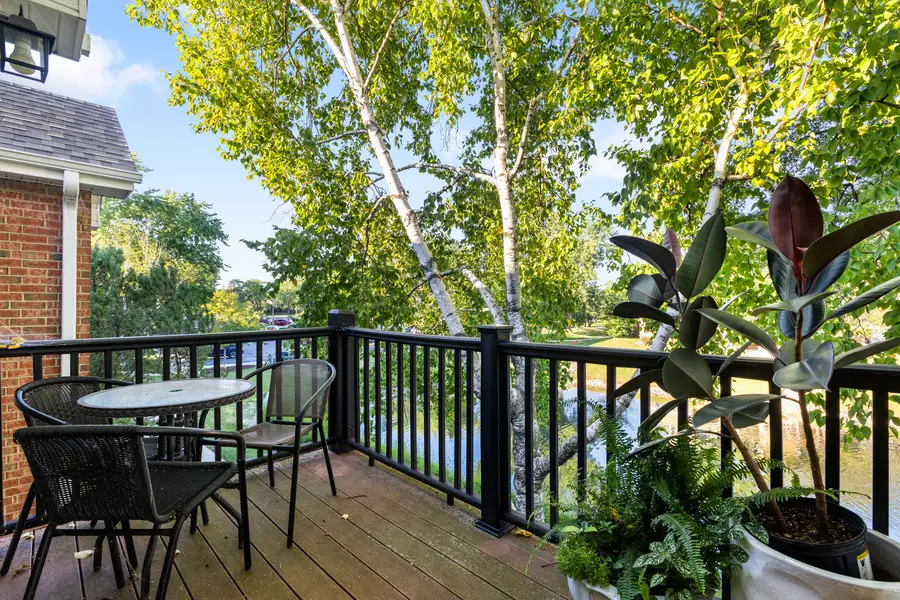 1344 Mcdowell Road #201, Naperville, IL 60563 - #3