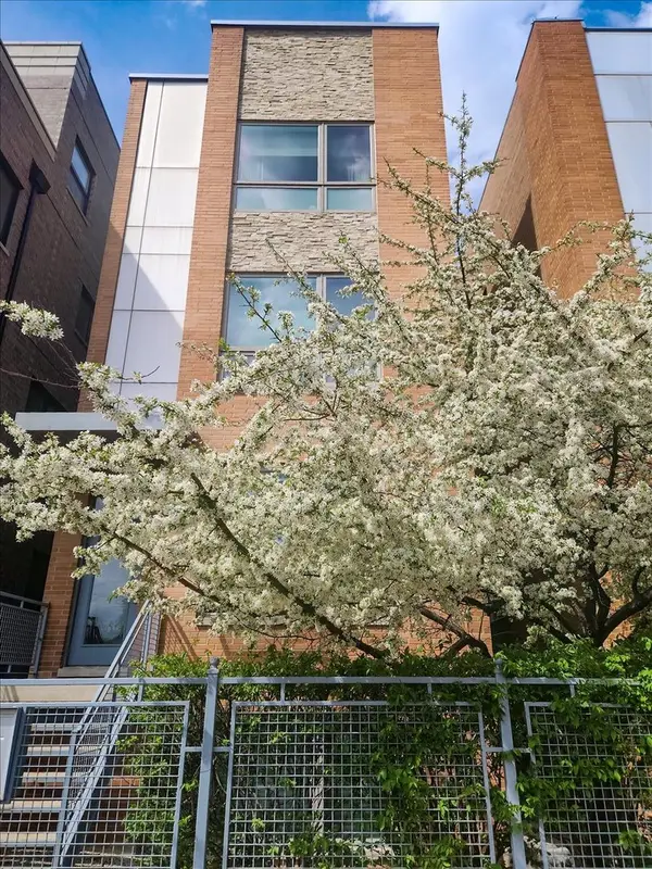 1350 W Diversey Parkway #3, Chicago, IL 60614