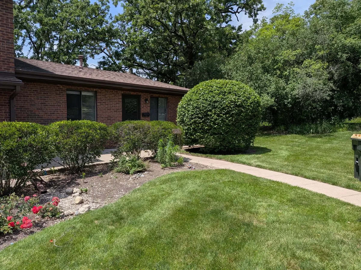 1231 Geneva Lane, Lake Zurich, IL 60047 - #1