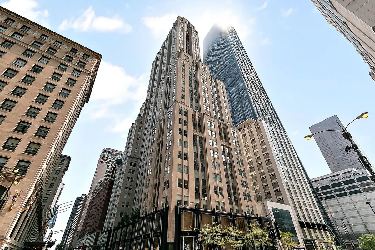 159 E Walton Place #8D, Chicago, IL 60611 - #1