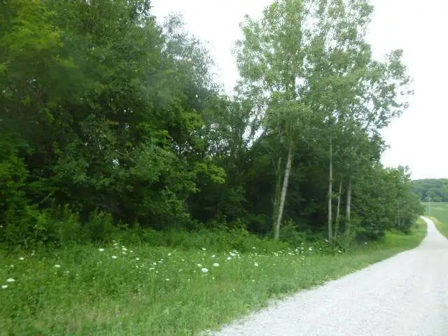 600 283 Street, Viola, IL 61486 - #1