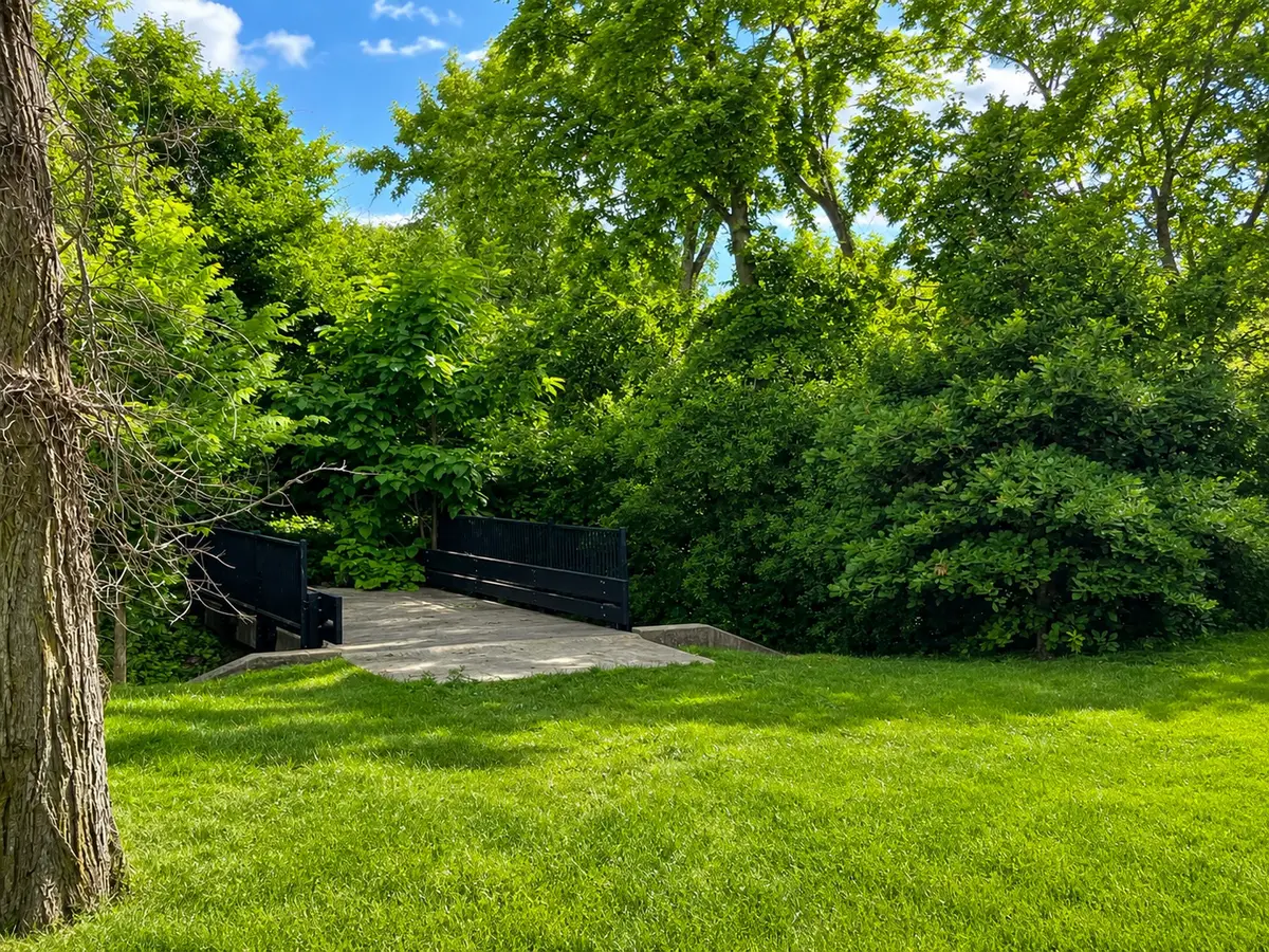 6297 Garfield, Burr Ridge, IL 60527 - #1