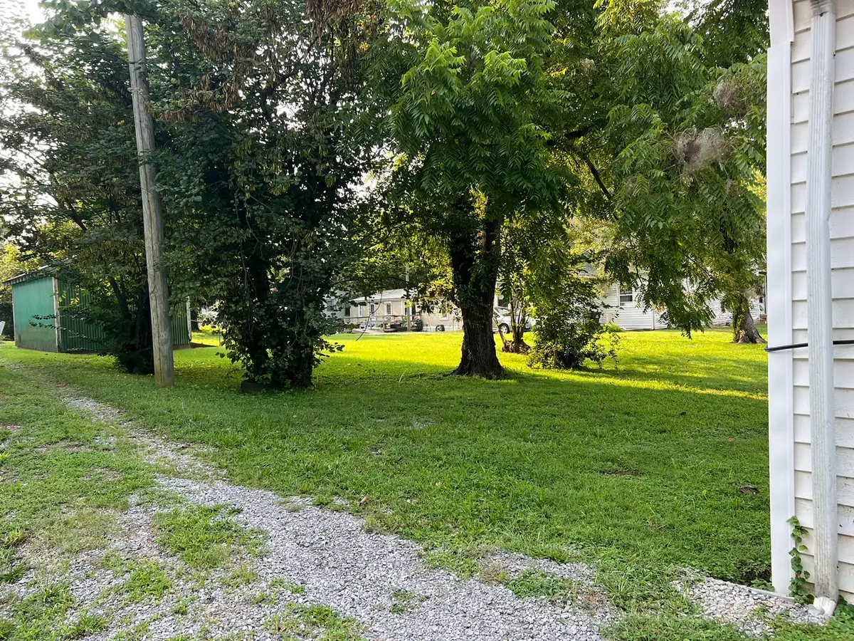 116 S Adams Street, Golconda, IL 62938 - #1