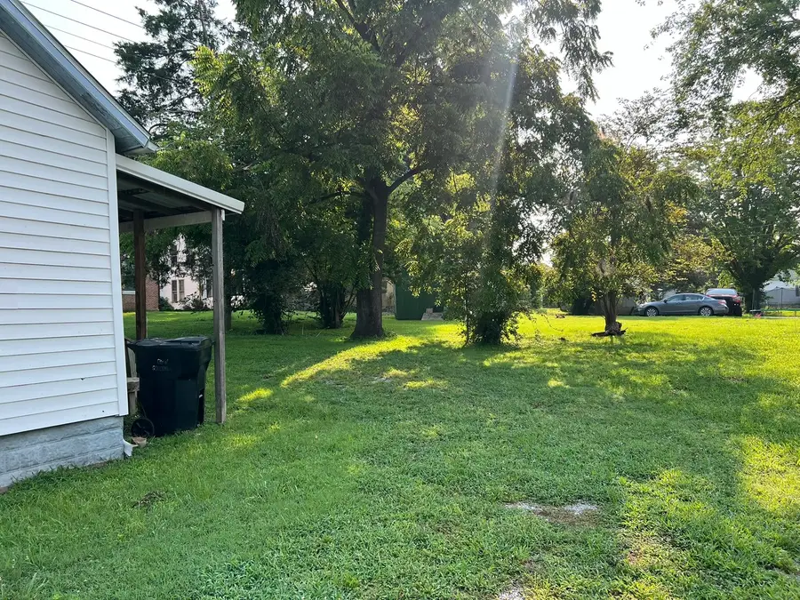 116 S Adams Street, Golconda, IL 62938 - #3