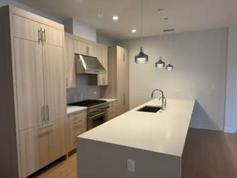 1356 W Chestnut Street #203, Chicago, IL 60642 - #2